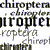 :iconchiroptera: