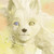 :iconchirudegilead: