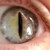 :iconchiryome: