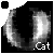 :iconchishcat: