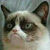 :iconchisly131:
