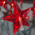 :iconChkyMnky: