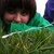 :iconchloeyxx: