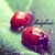 :iconchmil:
