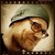 :iconchocdesign: