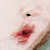 :iconchoco-touch: