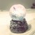 :iconchocoappls: