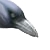 :iconChocobokabob: