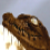 :iconchocodilesplz: