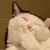 :iconchocofat: