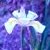 :iconchocolate-sundae: