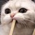 Chocolate-the-Cat24 :iconchocolate-the-cat24: