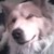 :iconchocolatecoffee1: