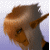 :iconchocolatenews: