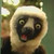 :iconchocolatepudding16: