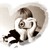 :iconchocolatesunshine: