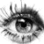 :iconchocolattelolly: