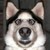 :iconchocolatweasley: