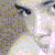 :iconchocomucho: