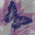 :iconchocoollate:
