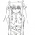 :iconchoenix:
