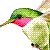 :iconchokebuddy: