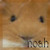 :iconchosen533: