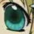 :iconchosenoneonigiri: