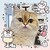 :iconchottion: