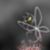 :iconchouchochan: