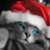 :iconchoucolatebutterfli: