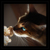 :iconchoupi-nou: