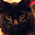 :iconchoux-chantilly: