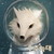 :iconchrier: