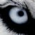 :iconchris-nl: