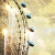 :iconchris-r-123: