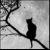 :iconchris-ta: