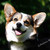 :iconchris9821: