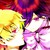:iconchrisakadenshi: