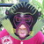 :iconchrischampeon: