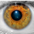 :iconchrisjames: