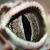:iconchrisper: