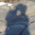 :iconchrissander: