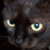 :iconchrissiebear:
