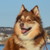 ChrissyJohansen :iconchrissyjohansen: