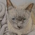 :iconchrissymcal: