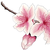 :iconchristalsoulerie: