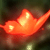 :iconchristian72: