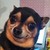 ChristianGameMaker :iconchristiangamemaker:
