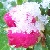 :iconchristiline88: